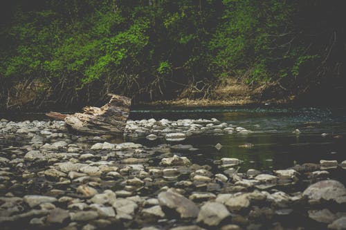 有关天性, 岩石, 岩石的的免费素材图片