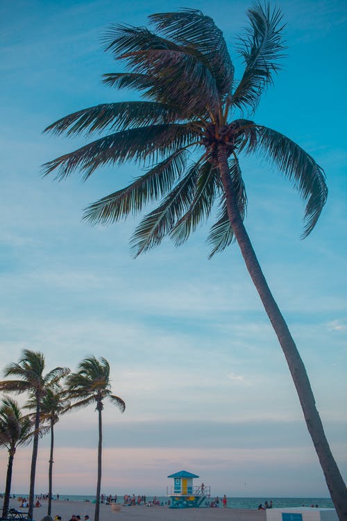 有关垂直拍摄, 夏天, 戶外的免费素材图片