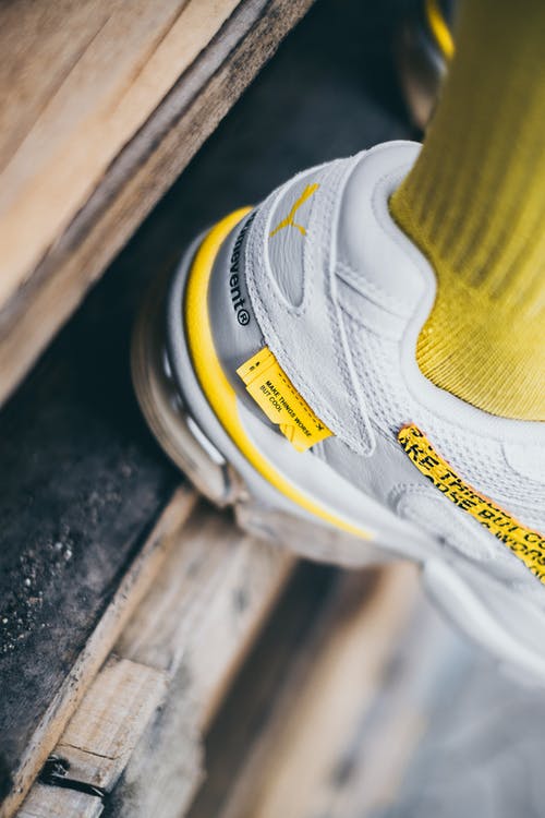 有关垂直的, 特写, 美洲狮细胞外星人随机事件的免费素材图片