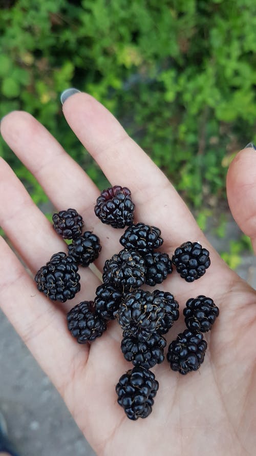 有关可口的, 垂直拍摄, 握住的免费素材图片