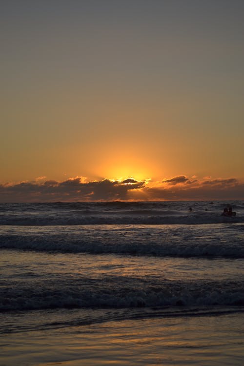 有关垂直拍摄, 天性, 戶外的免费素材图片