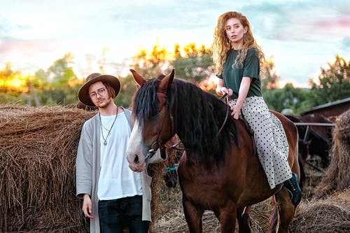 有关一對, 一起, 乾草的免费素材图片