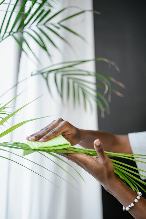 有关國內, 家務, 家庭的免费素材图片