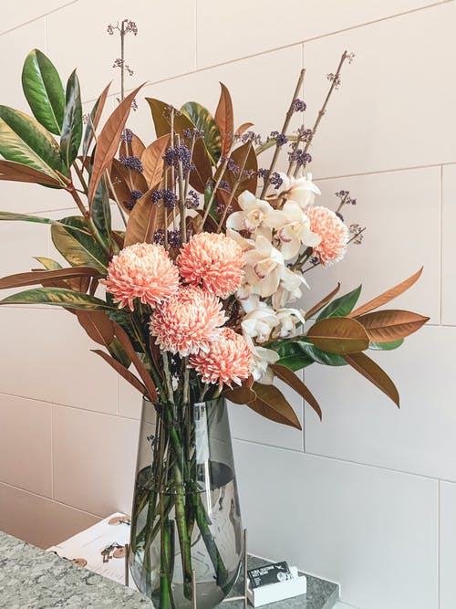 有关垂直的, 插花, 漂亮的免费素材图片