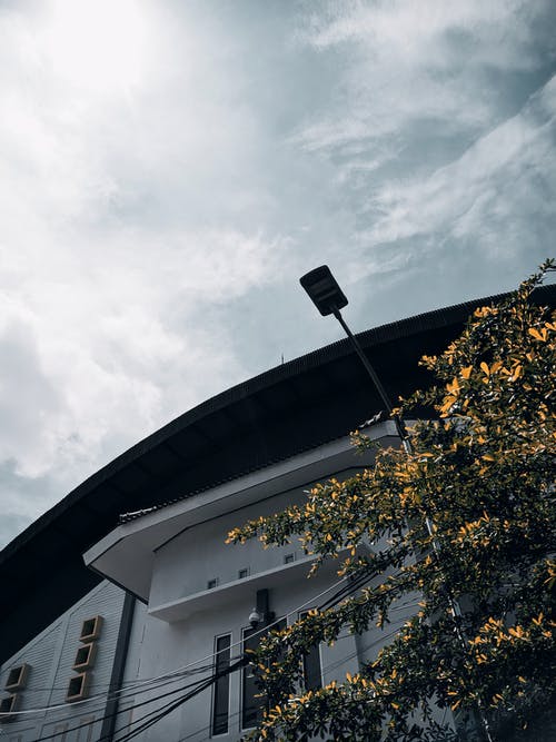 有关低角度拍攝, 垂直的, 天空的免费素材图片