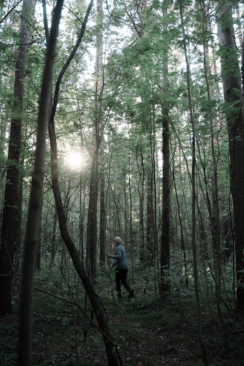有关人, 太陽, 孤獨的免费素材图片