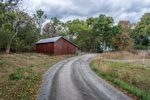 有关木房子, 未铺砌, 森林的免费素材图片