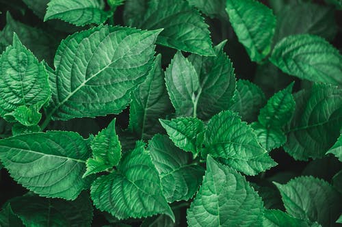 有关俯視圖, 夏天, 工厂的免费素材图片