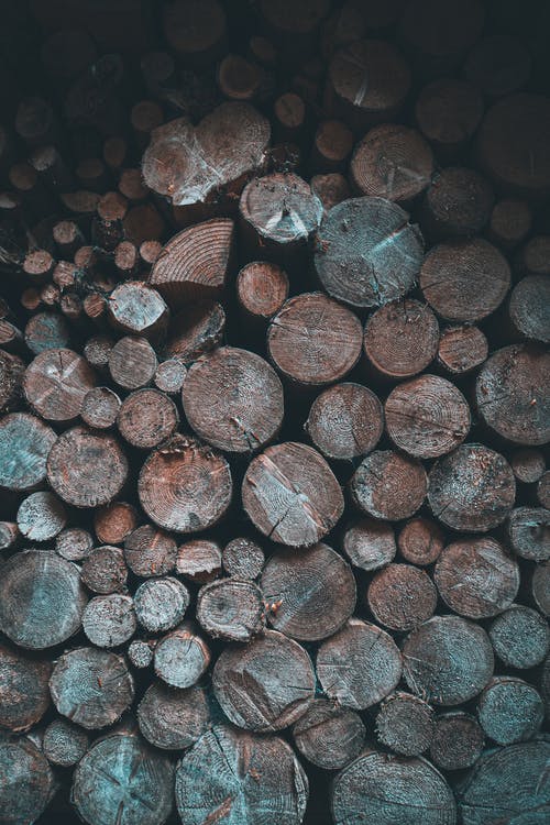 有关垂直拍摄, 堆, 木原木的免费素材图片