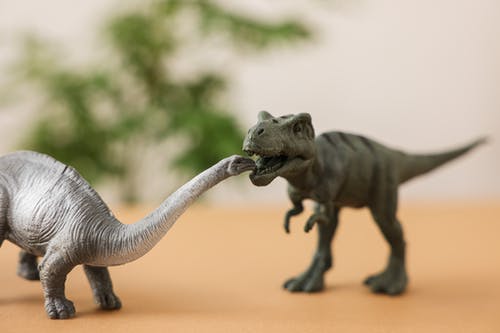 有关動物, 恐龙, 模糊的背景的免费素材图片