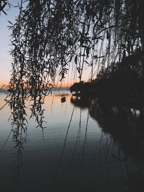 有关@户外, 在剪影, 垂直拍摄的免费素材图片