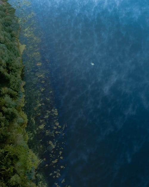 有关天性, 戶外, 海的免费素材图片