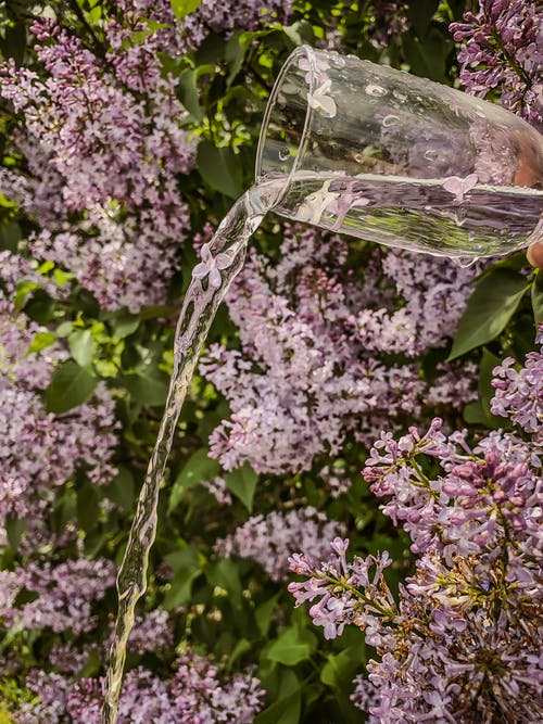 有关傾注, 垂直拍摄, 水的免费素材图片