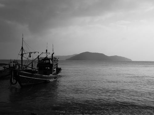 有关單色, 海, 海洋的免费素材图片