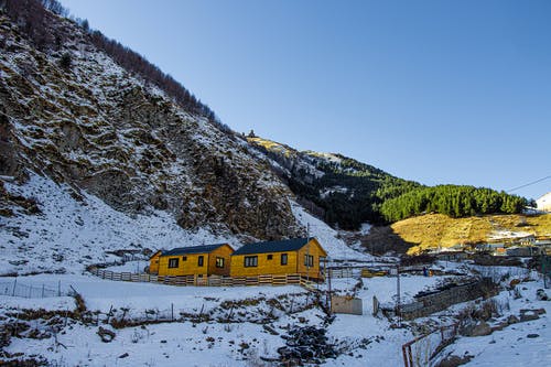 有关下雪的, 冬季, 喬治亞州的免费素材图片