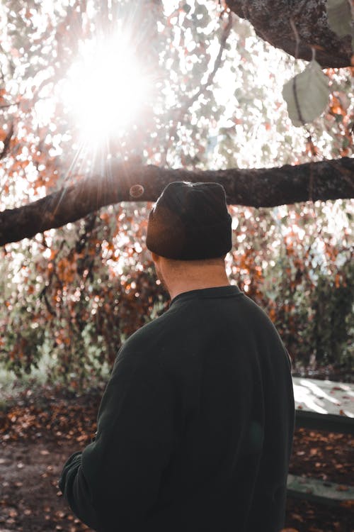 有关人, 公園, 垂直拍摄的免费素材图片