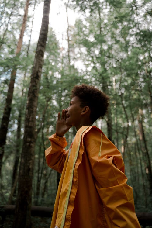 有关伸出援手, 叫喊, 增長的免费素材图片