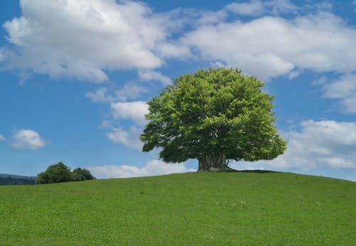 有关天性, 美丽的风景, 美景的免费素材图片