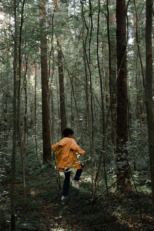 有关個性, 勘探, 增長的免费素材图片