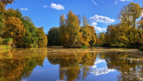 有关反射, 天性, 戶外的免费素材图片