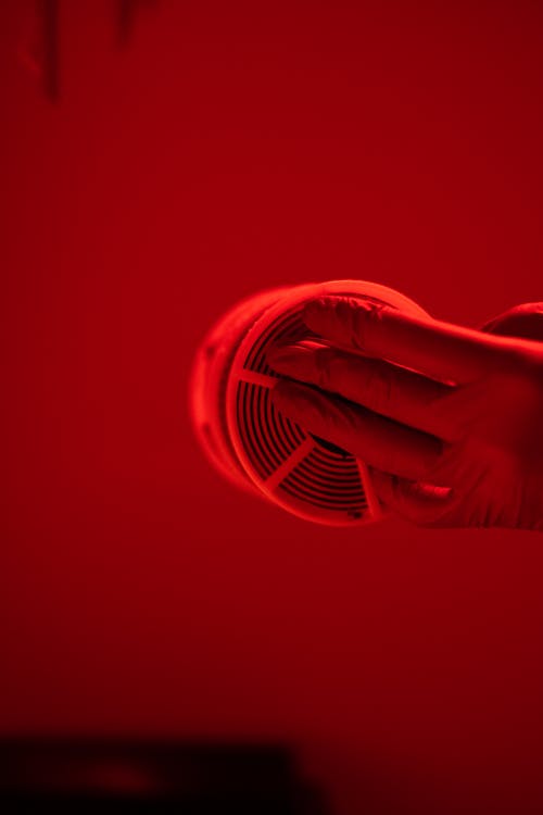 有关Copyspace, 光, 圖片的免费素材图片