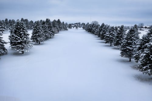 有关ICEE, 大雪覆盖, 季節的免费素材图片
