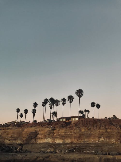 椰子棕榈树附近的房子 · 免费素材图片