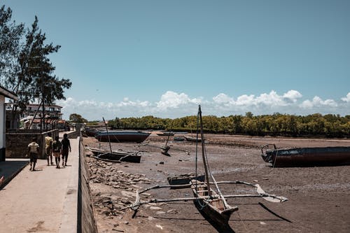 有关乾旱, 乾的, 夸的免费素材图片