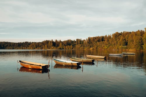 有关停泊, 天性, 天空的免费素材图片