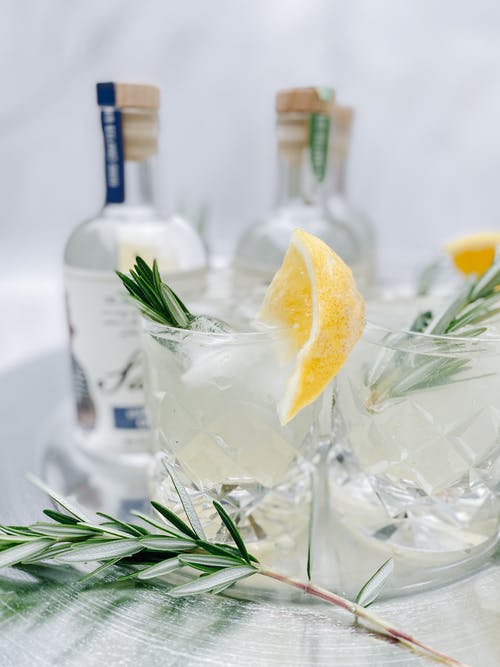 有关冰块, 冷飲, 樹枝的免费素材图片