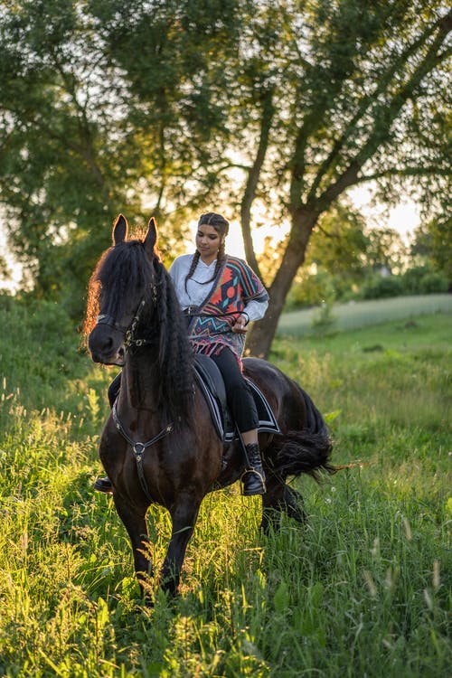 有关人, 動物, 哺乳動物的免费素材图片