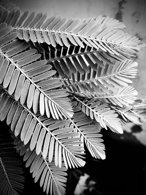 有关單色, 圖案, 垂直拍摄的免费素材图片