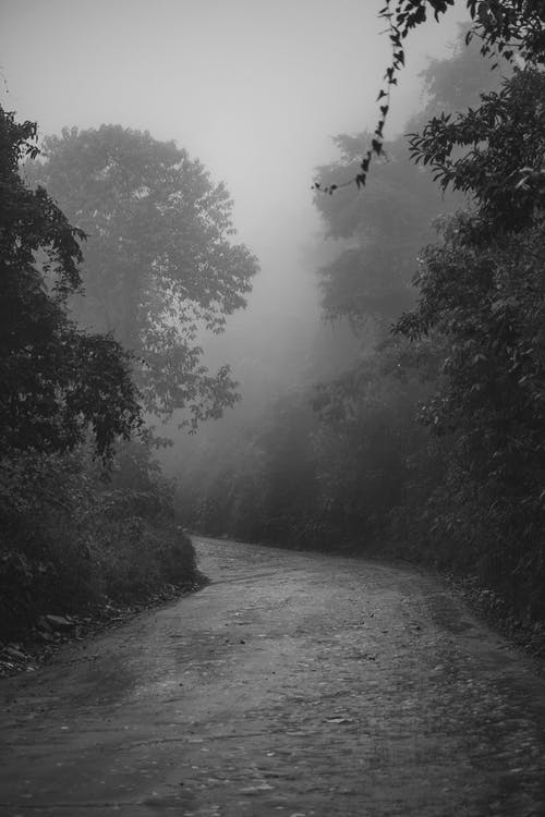 有关單色, 垂直拍摄, 未铺砌的免费素材图片