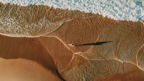 有关人, 海岸線, 海灘的免费素材图片