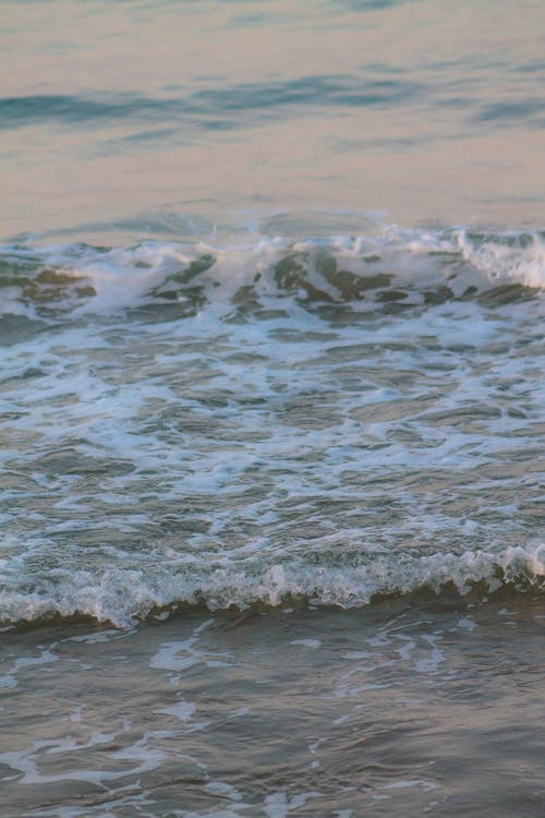 有关岸邊, 海, 特写的免费素材图片