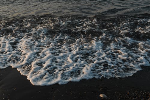 有关天性, 岸邊, 戶外的免费素材图片