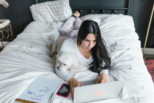 有关在家工作, 室內, 寵物的免费素材图片