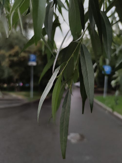 有关分支機構, 城市道路, 掛的免费素材图片