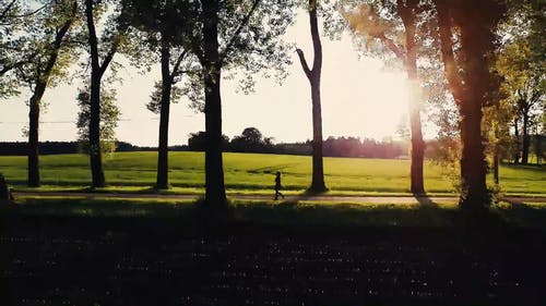 步行穿过公园的女人 · 免费素材视频