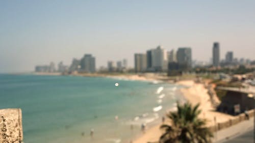 拍张照片的女人 · 免费素材视频