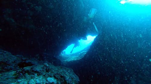 海底潜水员 · 免费素材视频