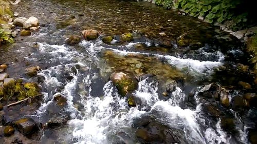 河水流量 · 免费素材视频