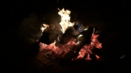 营火视频 · 免费素材视频