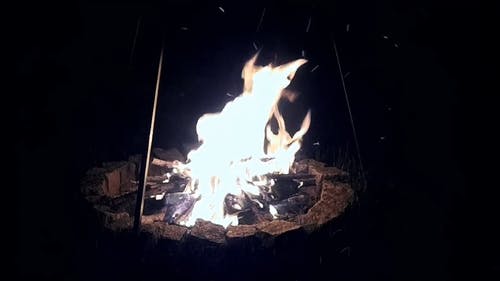 深夜篝火晚会 · 免费素材视频