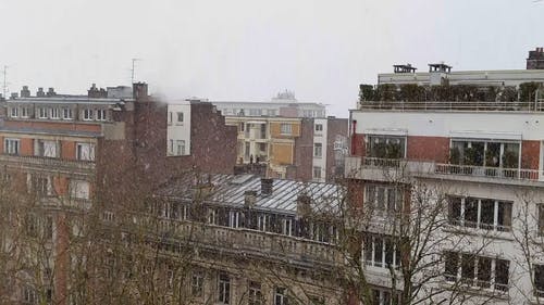 城市降雪 · 免费素材视频