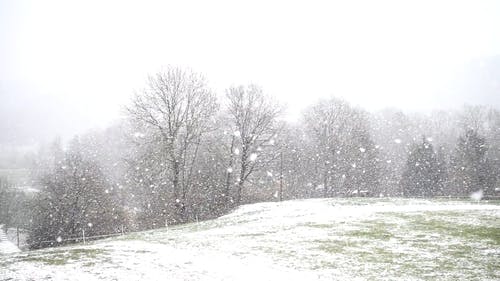 积雪覆盖的领域 · 免费素材视频