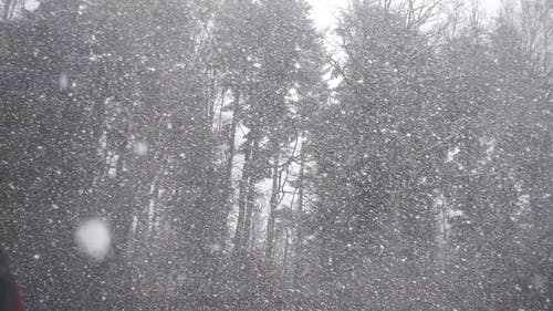 降雪视频 · 免费素材视频