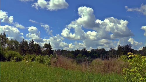 直升机经过的视图 · 免费素材视频