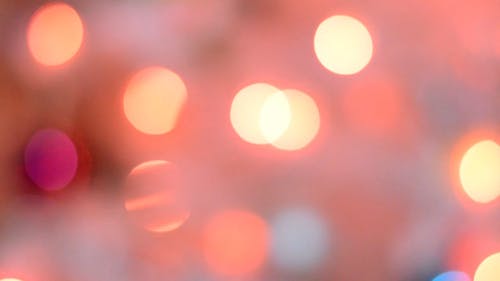 圣诞灯散景效果 · 免费素材视频
