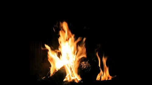 篝火晚会 · 免费素材视频